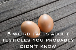 Two eggs on wooden floor with text reading 5 weird facts about testicles you probably didn't know
