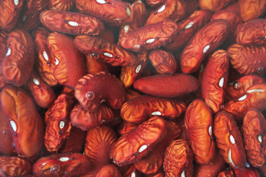 close up of red beans