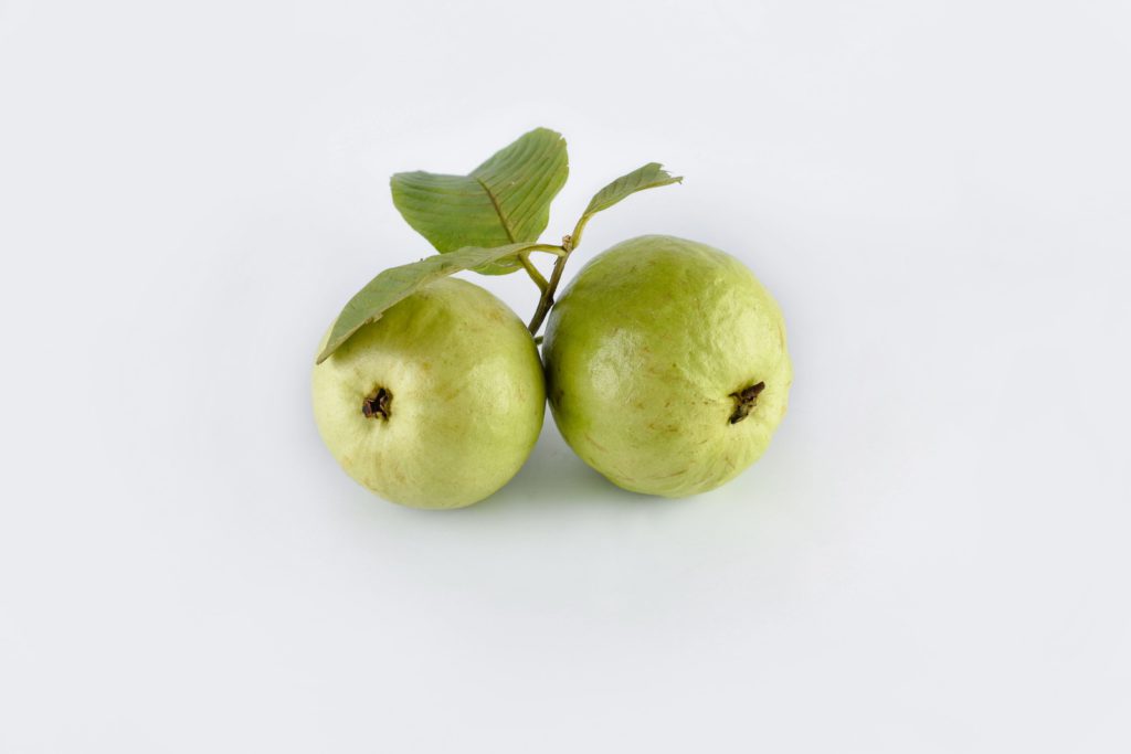 two guava fruits on a white background