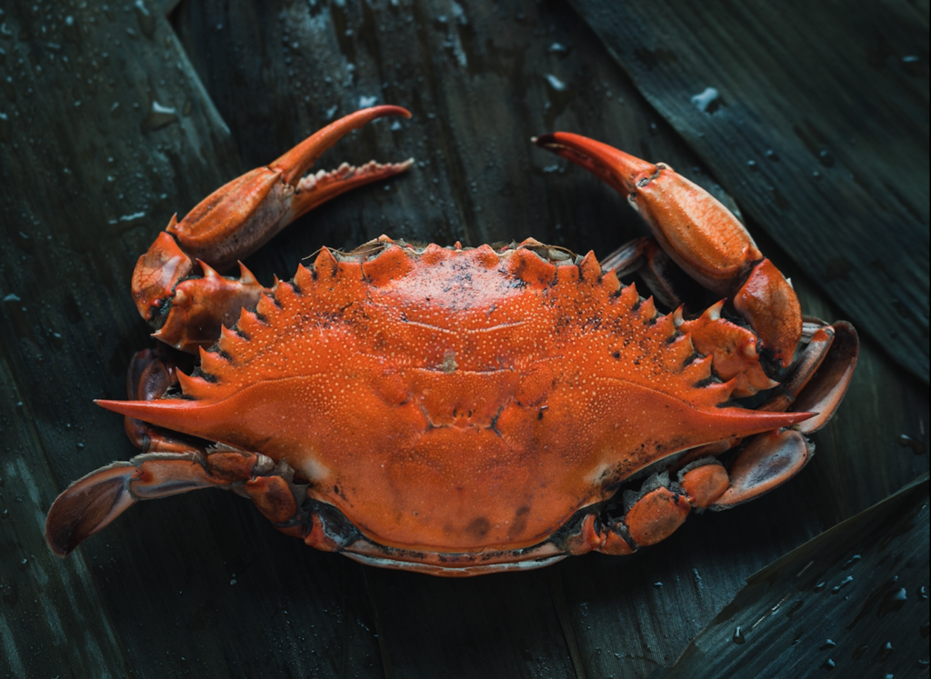 Red crab on a black wooden surface