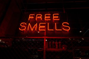 free smells neon sign