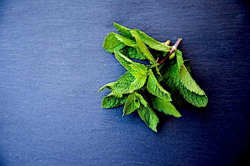 Peppermint leaves laying on a table